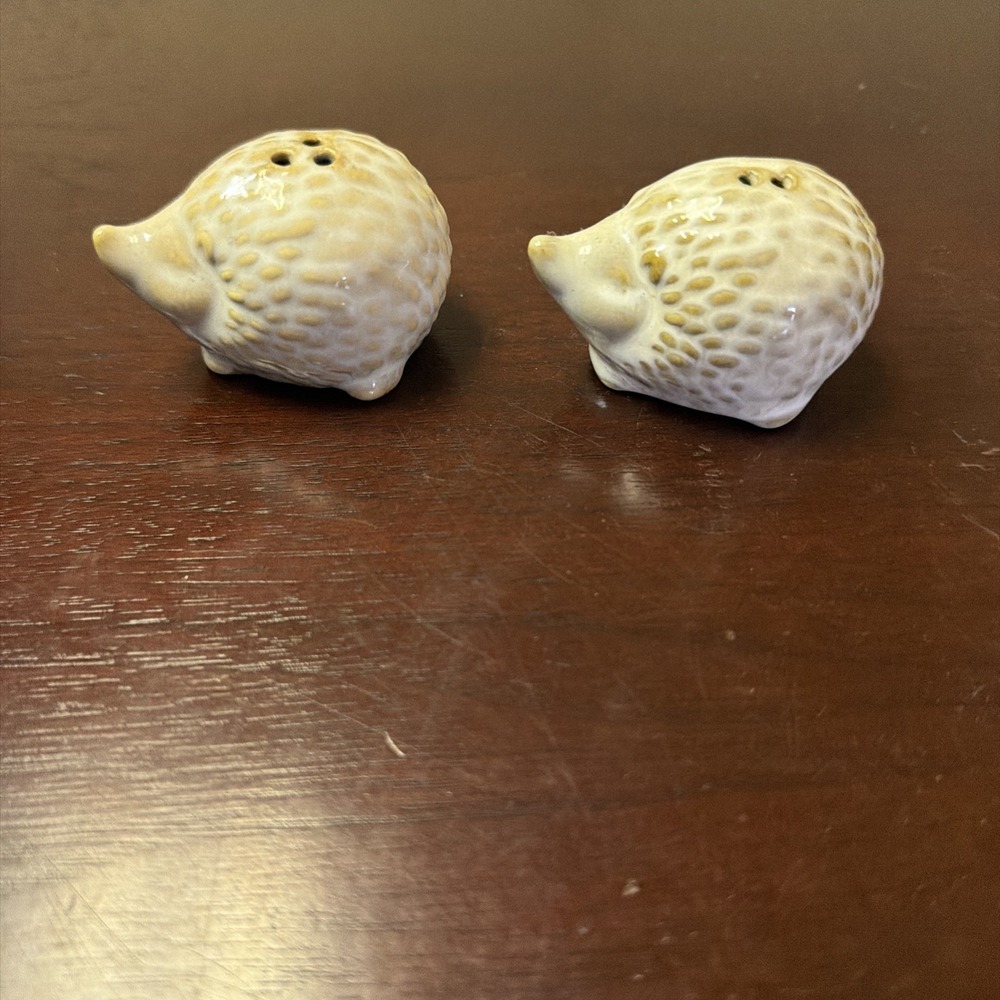 Vintage Porcelain Hedgehog Salt & Pepper Shakers EUC
